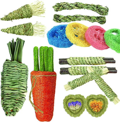 16 PCS Rabbit Toys, Hamster Toy for Molar, Loofah String Carrot Toys for Dental Health, Promote Digestion, for Best Hamster Toys Gifts