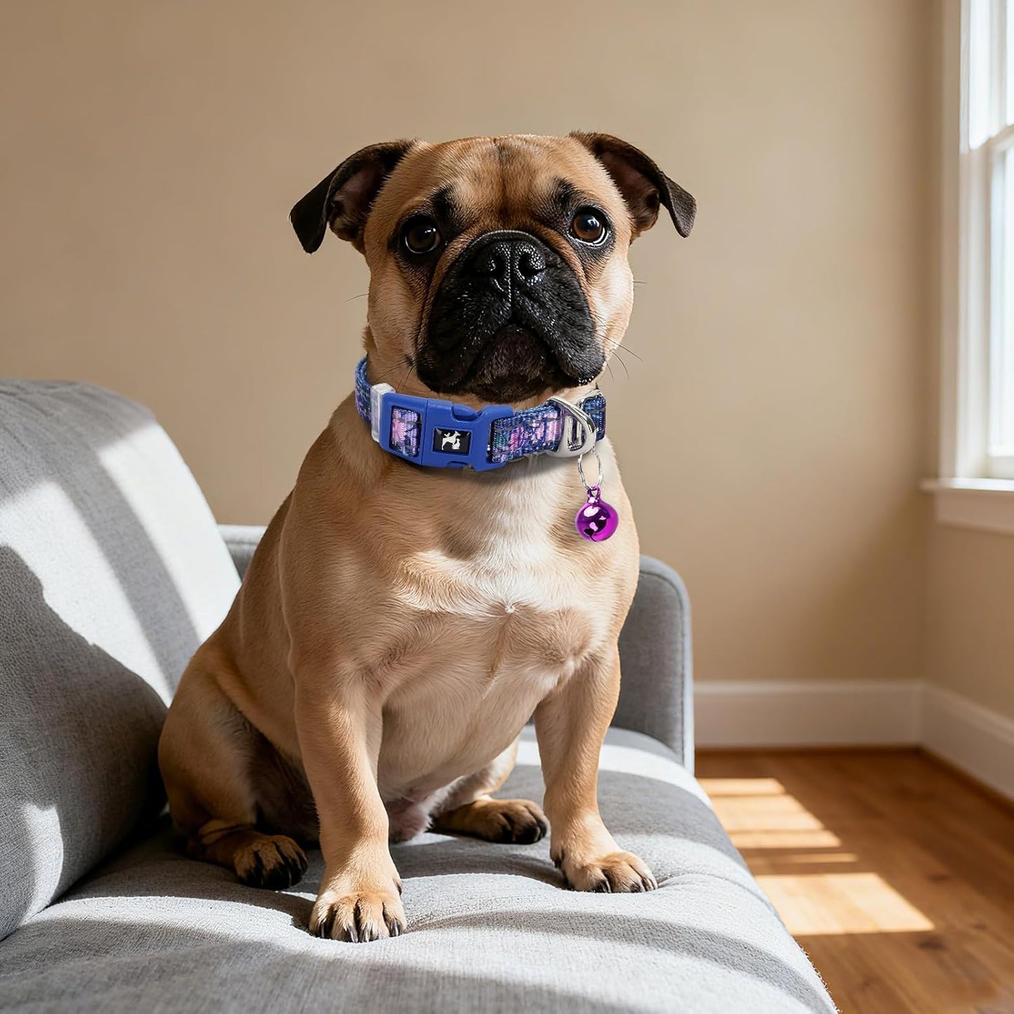 Floral Puppy Collar with Bell - Adjustable Flower Print Dog Collar for Small Dogs, Reflective Soft Comfort Collar for Chihuahua, Pomeranian, Tiny Breeds (XSmall) for Dogs