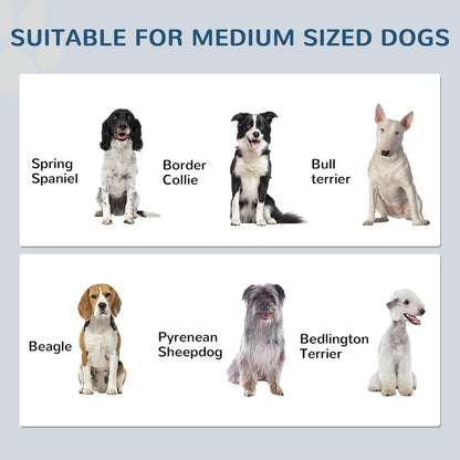 PawHut Pet Feeding Station, Elevated Dog Bowls, Dog Food Storage Cabinet with Hidden Bowls, Adjustable Panel, Hooks for Medium Sized Breed, White