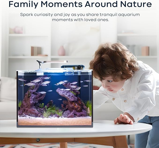 3 Gallon Small Fish Tank Glass Aquarium Set, Starter Kit with Heater Self Cleaning System Filter Bright Light Rocks Gravel Cleaning Tool, Leak-Proof Clear Rimless Desktop Spaces Saving Betta Fish