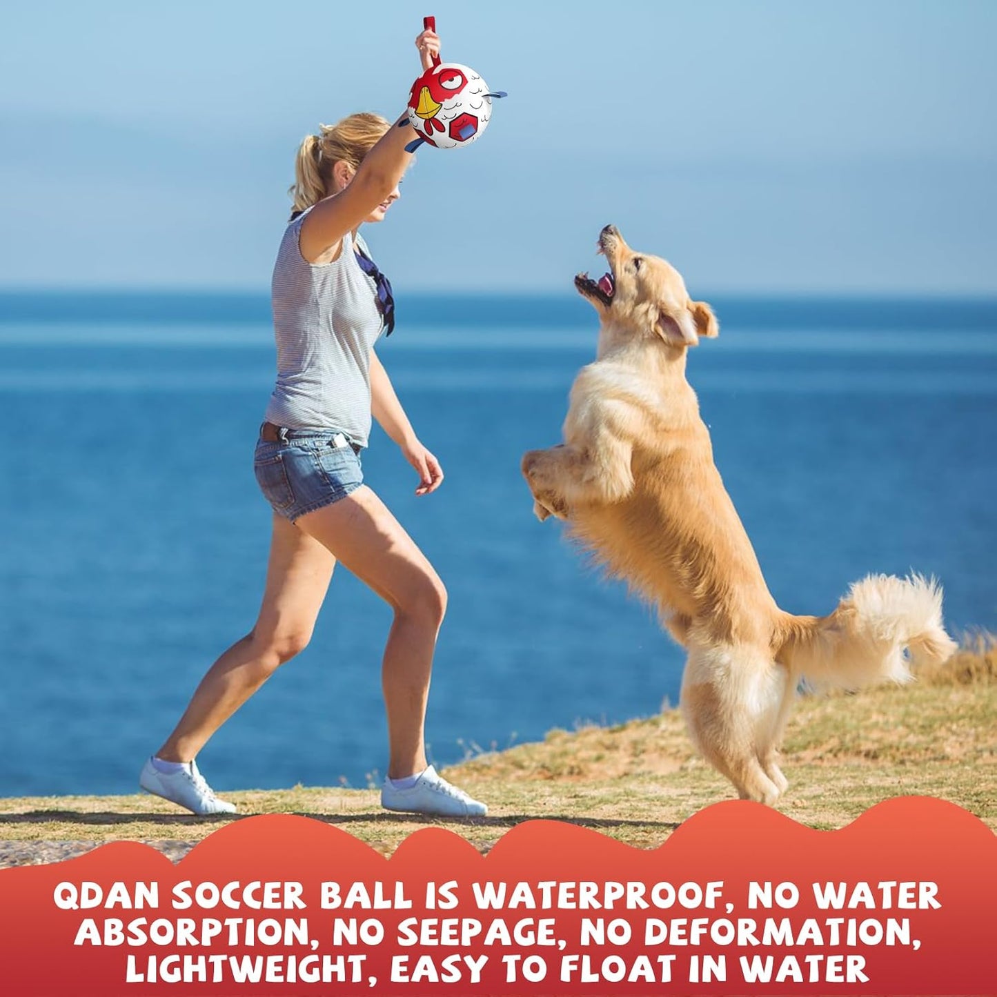 QDAN Dog Toys Soccer Ball with Straps - Durable Extra Large Dog Balls, Beach Pool Water Toys, Herding Balls (9 Inch)