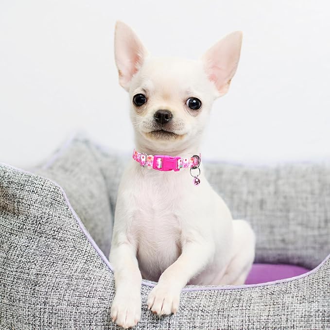 Pink Floral Small Dog Collar with Bell, Pretty Cute Flower Cat Collar Girl Puppy Collars with Bells for XS Small Tiny Pet Female Dogs Kitten Little Animal, S