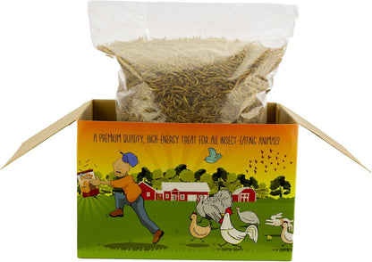 Chubby Dried Mealworms 3Lb Premium Non-GMO Dried Mealworms for Chickens High Protein Chicken Feed Meal Worms for Wild Birds