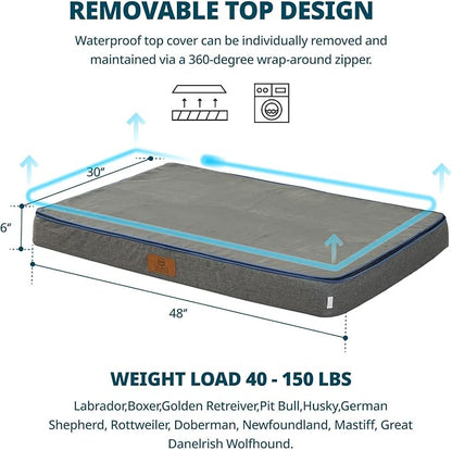 Orthopedic Memory Foam XXL Dog Bed - 6" Thick Beds for Extra Large Sized Dog - Waterproof Removable Washable Cover & Wrap-Around Zipper - Ultimate Comfort & Easy Maintenance, Dary Grey