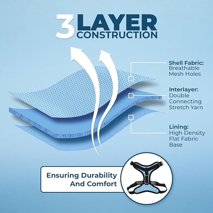 Voyager Step-in Lock Adjustable Cat Harness w. Cat Leash Combo Set with Neoprene Handle 5ft - Supports Small, Medium and Large Breed Cats by Best Pet Supplies - Baby Blue/Black Trim, XS