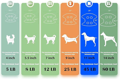 Guzekier Cat Grooming Hammock Harness for Cats, Cat Nail Clipper