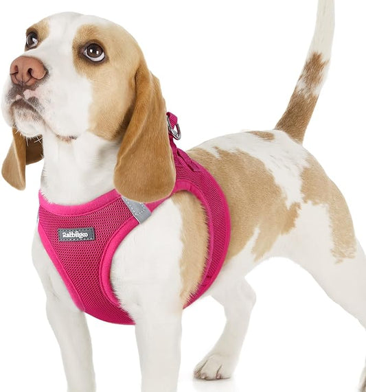 rabbitgoo Small Dog Harness, Step-in Soft Mesh Puppy Vest with Safety Buckle, Breathable Reflective Pet Harness for Small Sized Dogs, Rose Red M