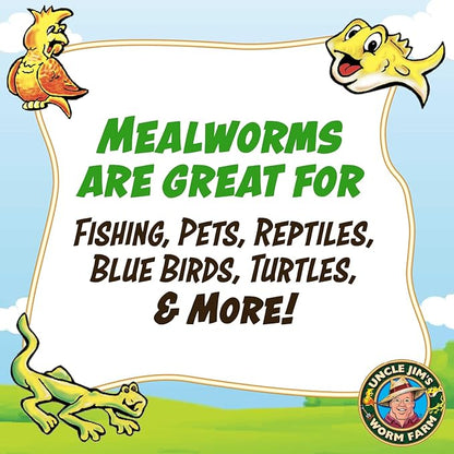 Uncle Jim's Worm Farm 1000 Count Mealworms for Reptiles and Chickens | Mealworms for Feeding Lizard, Gecko, Bearded Dragons, Chickens, Birds, and More | Suitable for Fishing Bait