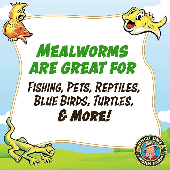 Uncle Jim's Worm Farm 2000 Count Mealworms for Reptiles and Chickens | Mealworms for Feeding Lizard, Gecko, Bearded Dragons, Chickens, Birds, and More | Suitable for Fishing Bait
