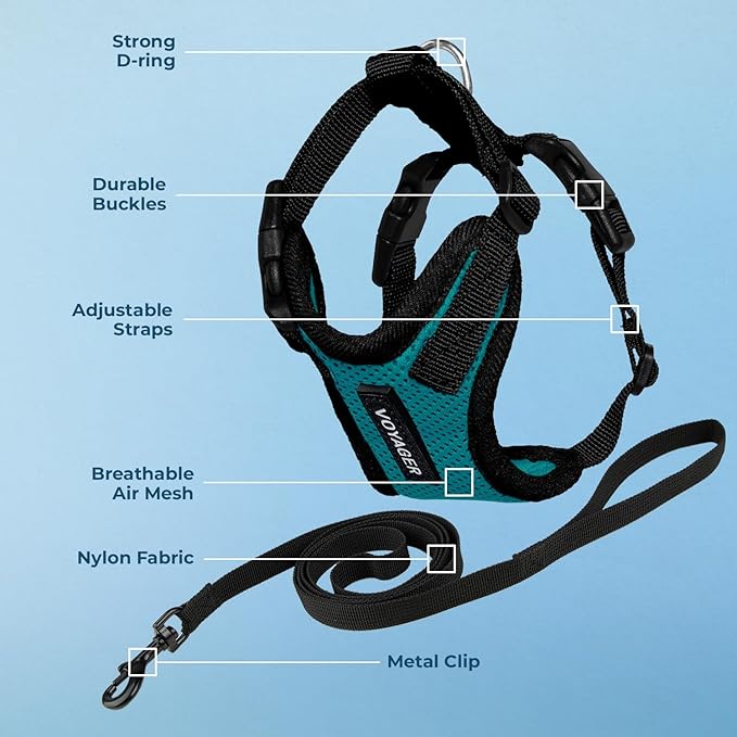 Voyager Step-in Lock Adjustable Cat Harness w. Cat Leash Combo Set with Neoprene Handle 5ft - Supports Small, Medium and Large Breed Cats by Best Pet Supplies - Turquoise/Black Trim, XS