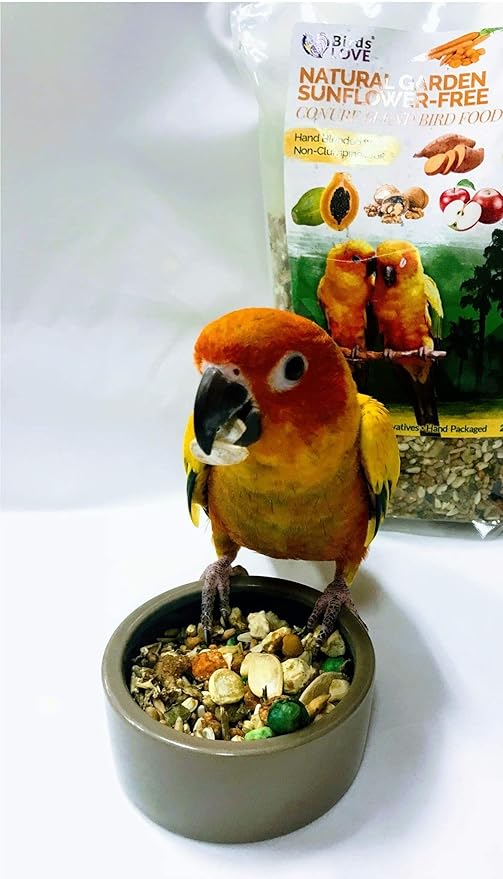 Birds LOVE All Natural Garden Blend Bird Food for Conures - Sunflower Free 4lb