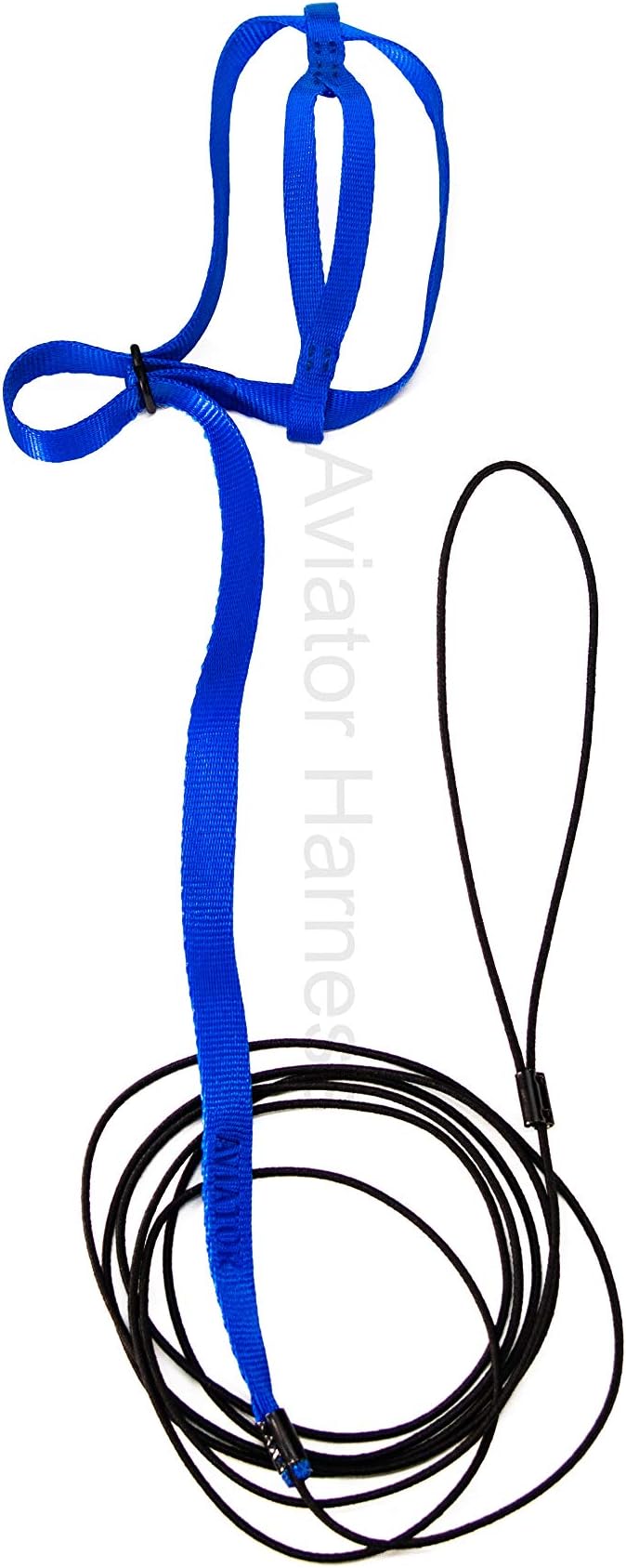 The AVIATOR Pet Bird Harness and Leash: Petite Blue XX-Small