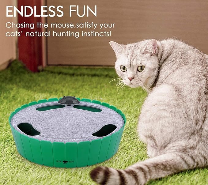 Pawaboo Interactive Cat Toy with Running Mouse, Electronic Motion Cat Toy Automatic Teaser for Indoor Cats, Pop and Play Hide Seek Cat Toys Hunting Mouse for Pet Cat Kitten Play Fun Exercise, Green