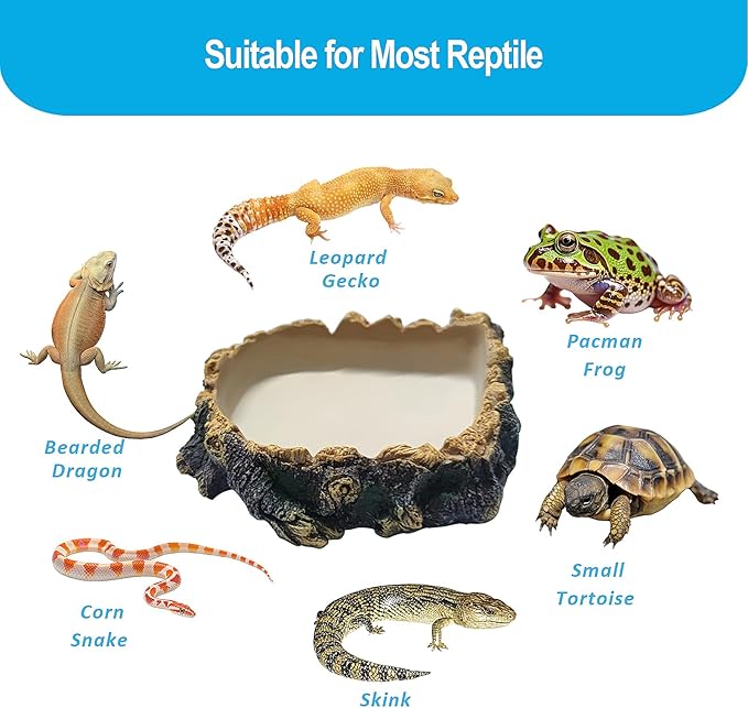 Bearded Dragon Tank Accessories, Tree Stump Bearded Dragon Food Bowl, Reptile Water Dish for Leopard Geckos, Crested Geckos, Hermit Crabs, Frogs and Corn Snakes