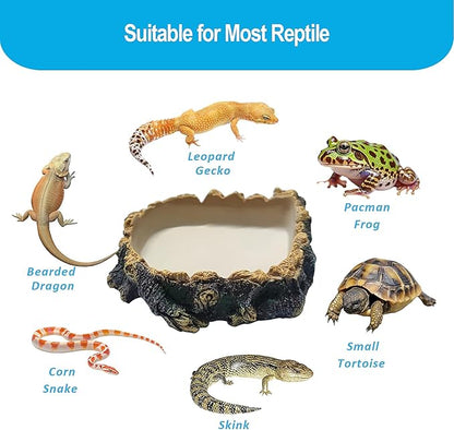 Bearded Dragon Tank Accessories, Tree Stump Bearded Dragon Food Bowl, Reptile Water Dish for Leopard Geckos, Crested Geckos, Hermit Crabs, Frogs and Corn Snakes
