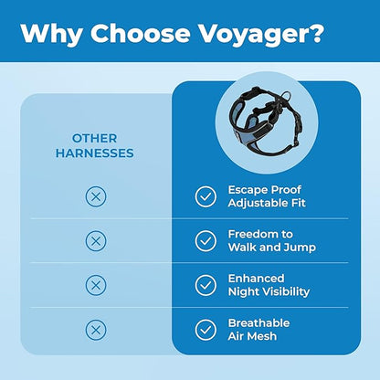 Voyager Escape Proof Cat Harness and Leash Set with Reflective Stitching, Neoprene Handle 5ft - Supports Small, Medium and Large Cats, Kittens for Walking by Best Pet Supplies - BT-Baby Blue, XXXS