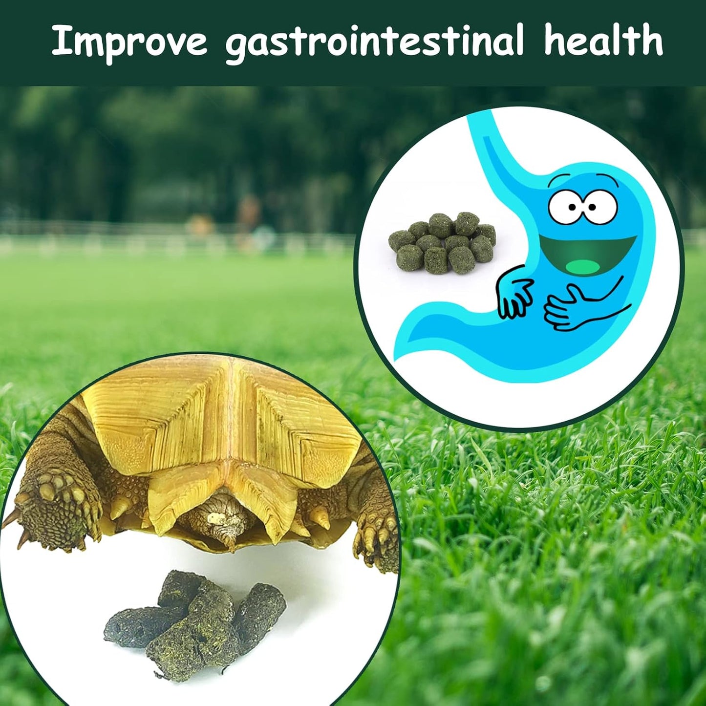 Timothy Hay Cubes 11 oz -100% Natural Timothy Hay Low Calcium, High Fiber for Rabbits Sulcata Tortoise Guinea Pig, Durable Chew Cubes (No Dust), 11 oz