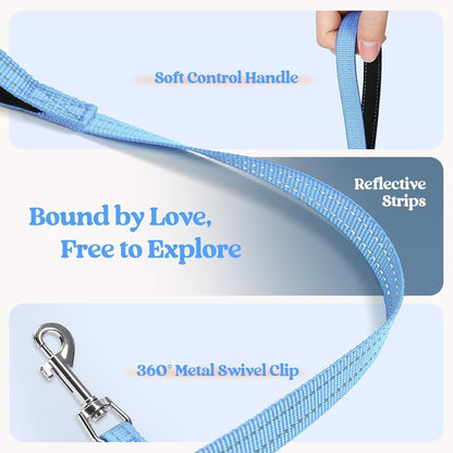 rabbitgoo Dog Harness Small Sized and Leash Set, Step in Soft Light Puppy Vest, Breathable Mesh Pet Harness, Reflective for Safe Easy Walking, Blue & Orange XXXS