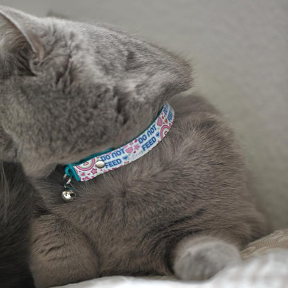 New Kittyrama No Feed Cat Collar with Bell. Breakaway, Quick Release, Hypoallergenic, Vet Approved. Lightweight Kitten Collar. As Seen in Vogue. Soft & Comfy. Pearl