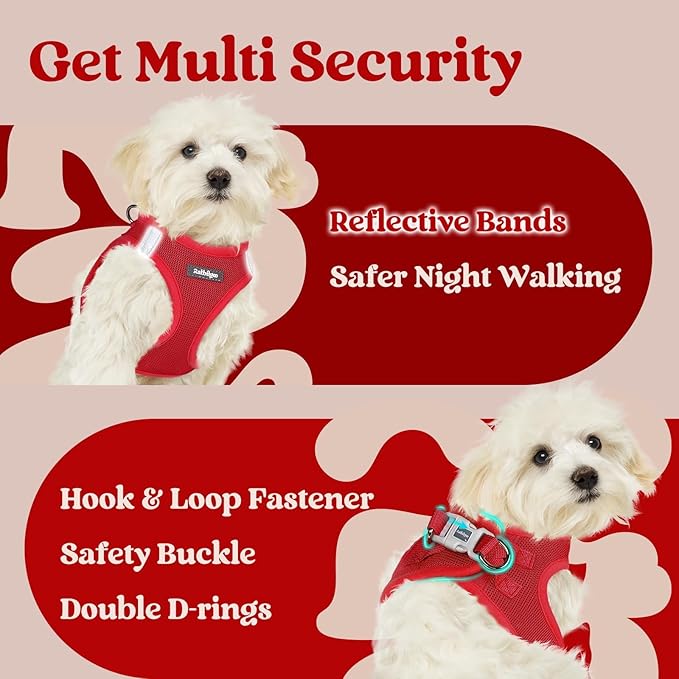 rabbitgoo Small Dog Harness, Step-in Soft Mesh Puppy Vest with Safety Buckle, Breathable Reflective Pet Harness for Large Dogs, Red XXL