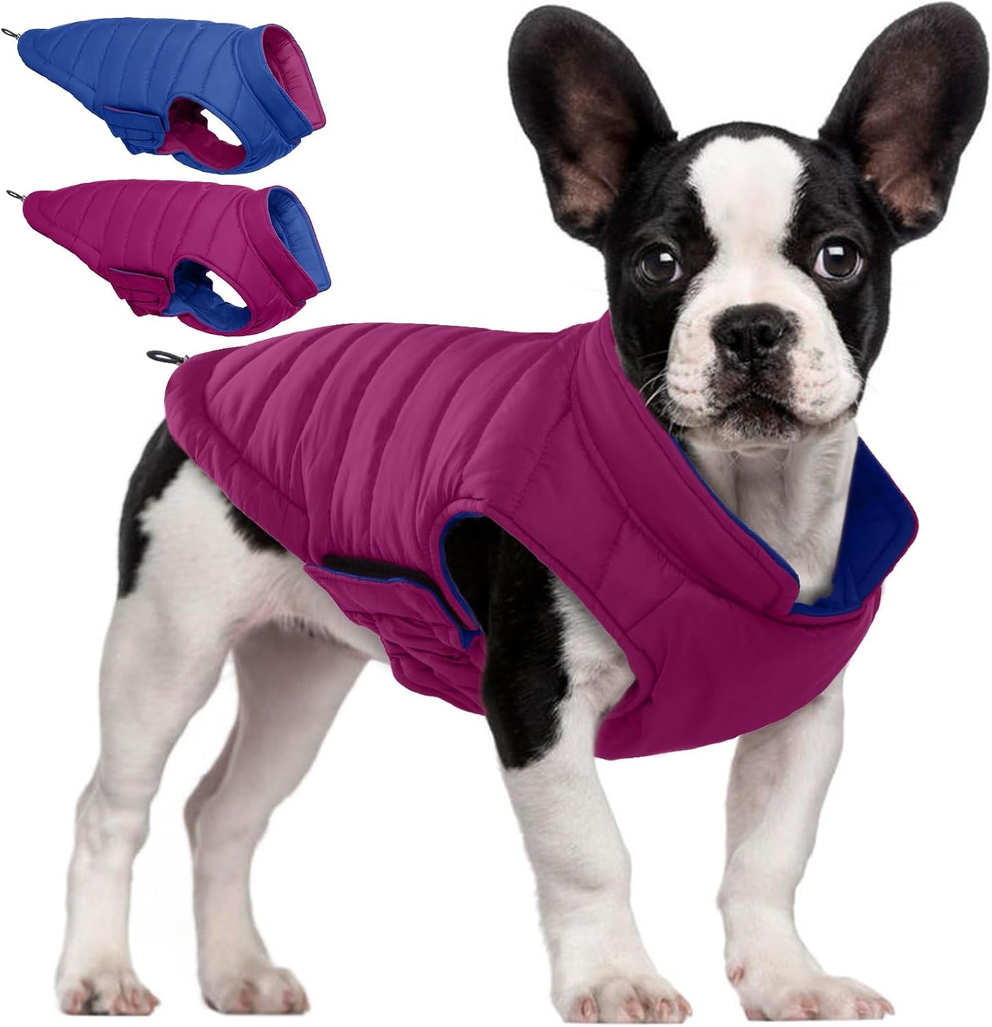 QBLEEV Reversible Dog Coat for Medium Dogs, Waterproof Windproof Winter Jacket Keeps Dogs Warm in Snow, Adjustable Hook & Loop Lightweight Dog Puffer Vest, Purple, L – Fits French Bulldog