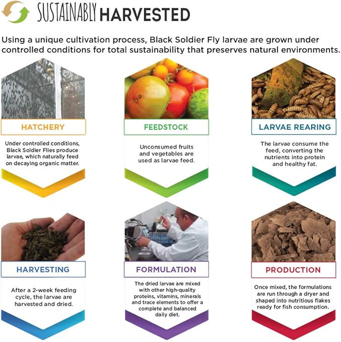 Fluval Bug Bites Color Enhancing Fish Food for Tropical Fish, Flakes for Small to Medium Sized Fish, 3.17 oz., A7348, Brown