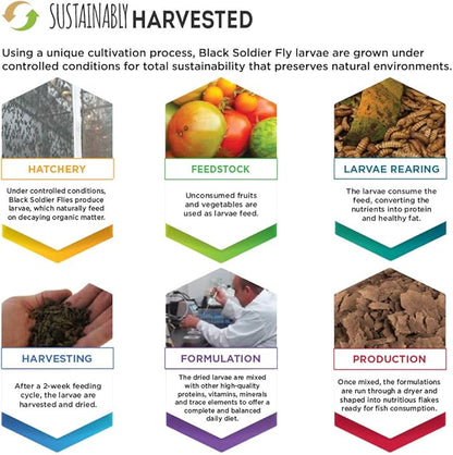 Fluval Bug Bites Color Enhancing Fish Food for Tropical Fish, Flakes for Small to Medium Sized Fish, 3.17 oz., A7348, Brown