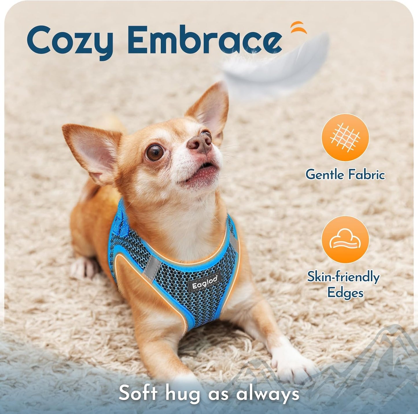 Eagloo Small Dog Harness and Leash Set, Step in Puppy Vest with Breathable Soft Mesh, Walking Reflective Pet Harness for Extra Small Dogs, Blue, XXS