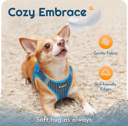 Eagloo Small Dog Harness and Leash Set, Step in Puppy Vest with Breathable Soft Mesh, Walking Reflective Pet Harness for Small Dogs, Blue, S