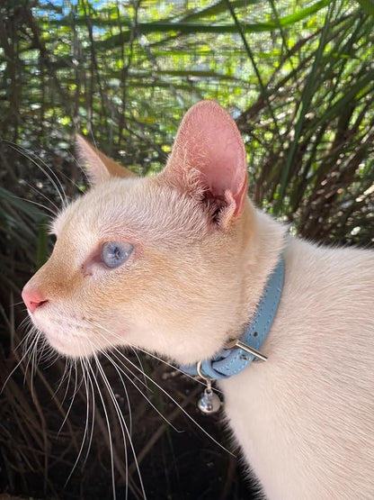 PUPTECK 2 PCS Soft Genuine Leather Cat Kitten Collar with Bells Adjustable for Girl Boy Cats Puppy - Pink, Blue