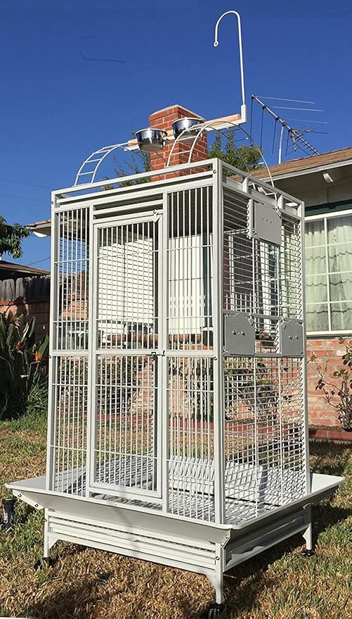 Large Double Ladders Open Play Top Wrought Iron Bird Parrot Parakeet Finch Macaw Cockatoo Cage, Include Seed Guard and Toy Hook (30.5''L x 29.5''W x 65''H, White Vein)