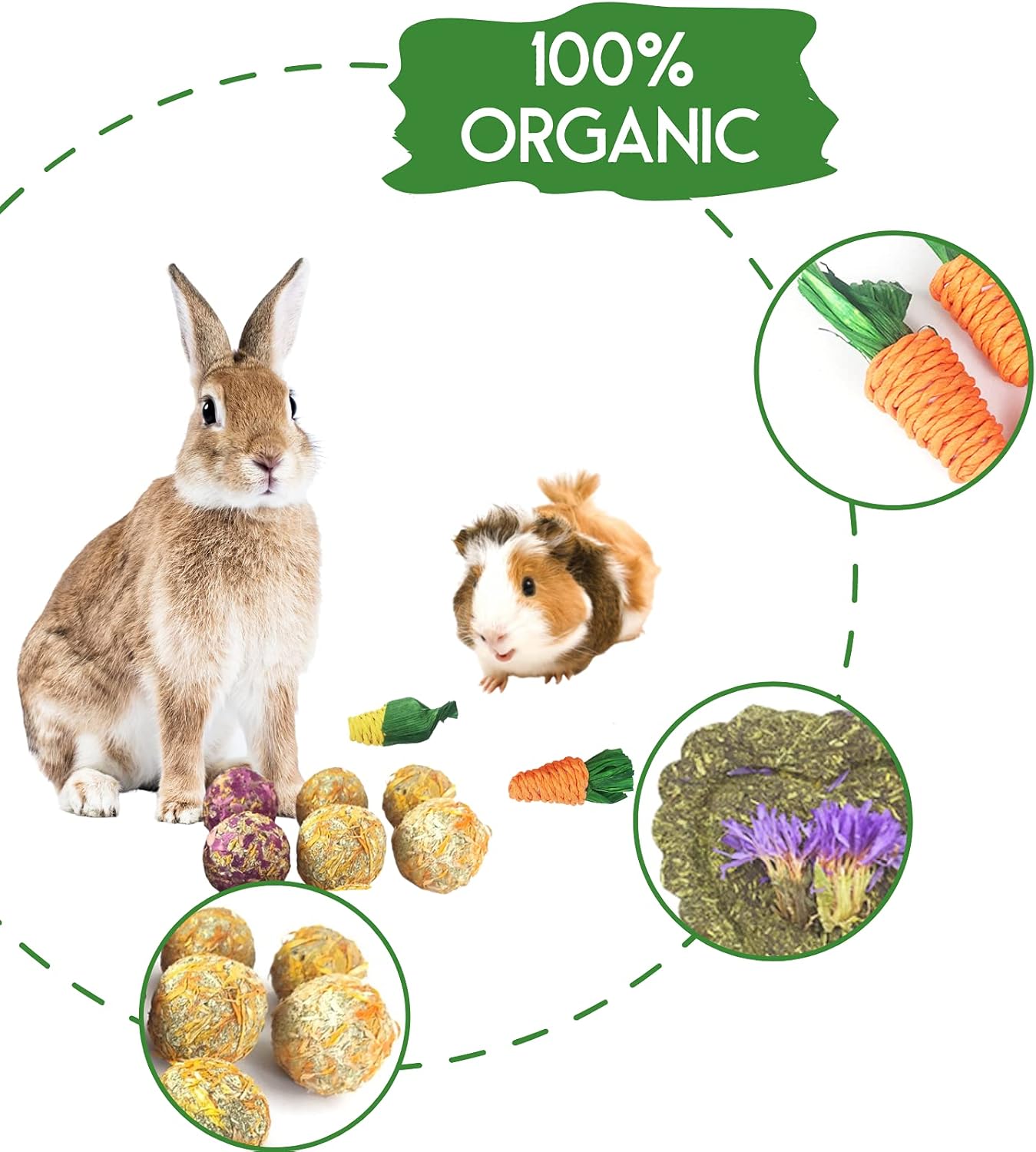 Lacrima Rabbit Bunny Guinea Pig Chew Toys 12PCS, Chew Toys and Treats for Rabbit Guinea Pig Hamster Chinchilla, Small Animal Teeth Care