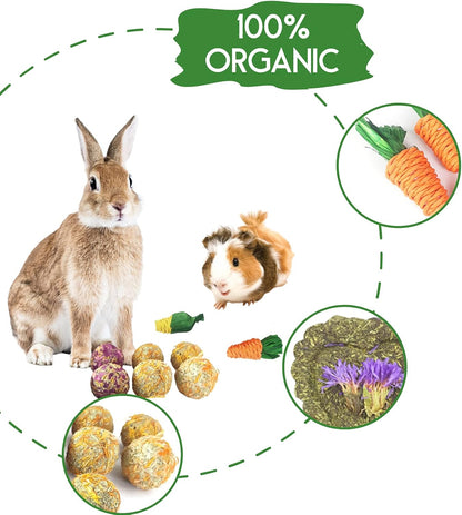 Lacrima Rabbit Bunny Guinea Pig Chew Toys 12PCS, Chew Toys and Treats for Rabbit Guinea Pig Hamster Chinchilla, Small Animal Teeth Care