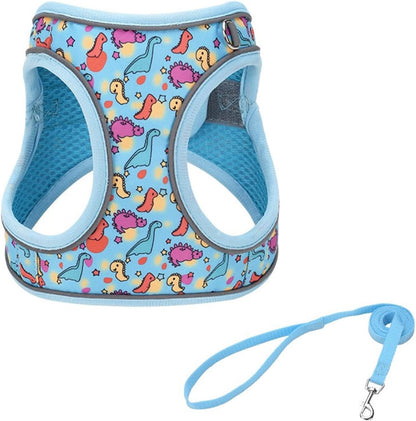 Step in Dog Harness No Pull Dinosaur Adjustable Soft Mesh Padded Reflective Pet Vest Harness and Leash Set for Small Medium Dogs