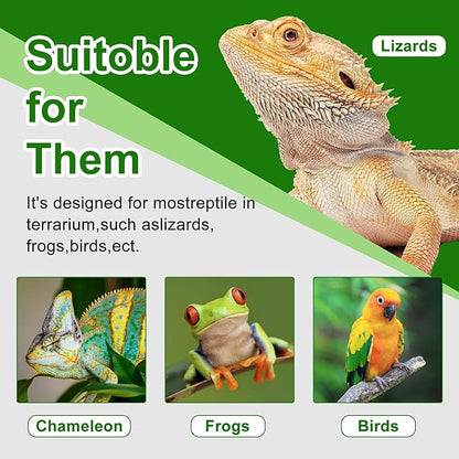 Bearded Dragon Feeder, Chameleon Feeder, Reptile Feeding Dish, Glass Mount Insect Feeding Box for Reptile, Bearded Dragon Food Bowl can Feeds Bearded Dragons and Comes with 4 Fixed Suction Cups