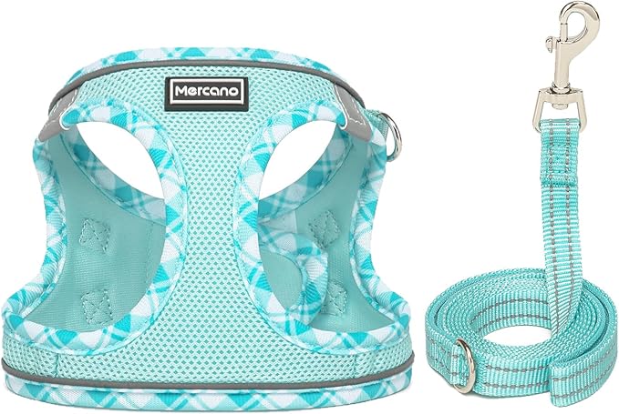 Mercano Soft Mesh Dog Harness and Leash Set, No-Chock Step-in Reflective Breathable Lightweight Easy Walk Vest Harnesses with Safety Buckle for Small Dogs, Cats (Light Blue, XL)