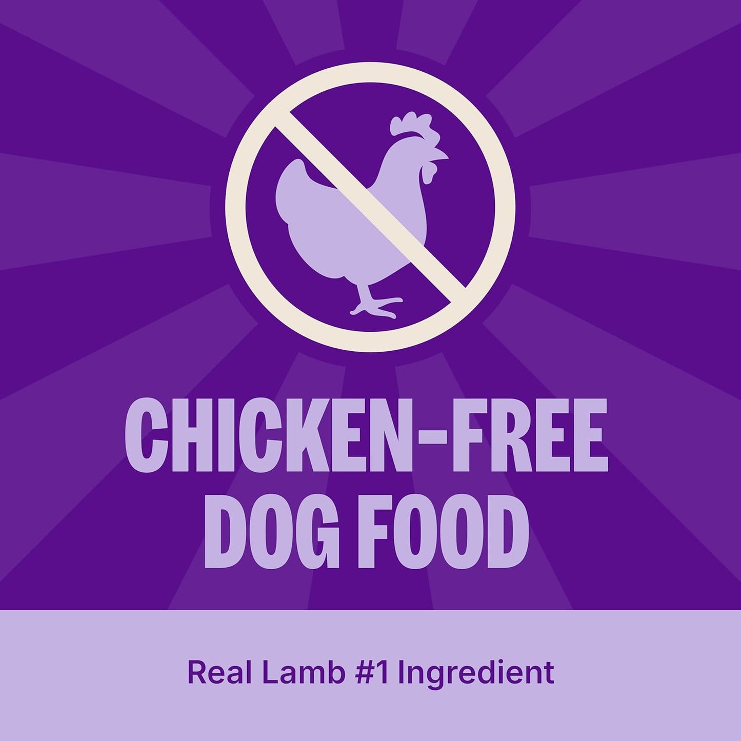 Wellness CORE Dry Dog Food, Grain Free, High Protein, Natural, Lamb Recipe, (22-Pound Bag)