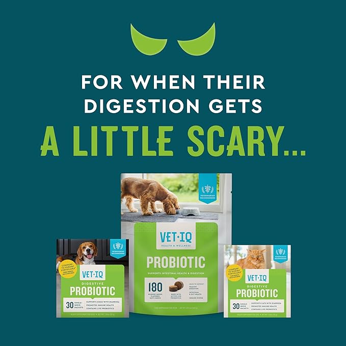 VetIQ Probiotic Powder for Cats, Treats Diarrhea and Food Sensitivity, Chicken Flavored Single Serve Packets for Indoor and Outdoor Cats, 30 Count