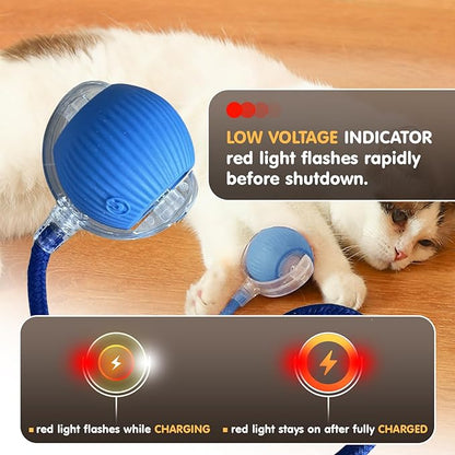 Rocfish Durable Interactive Cat Toys for Indoor Cats, Smart Automatic Cat Chase Ball Toy, Upgraded Speedy Tail Kitten Toy for Bored Indoor Adult Pets (Blue)