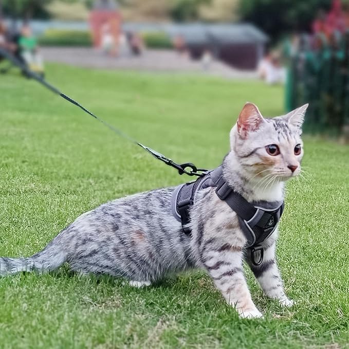Cat Harness and Leash Set Escape Proof Tactical Large Kitten Harness Emotional Support Cat Vest, Grey, L