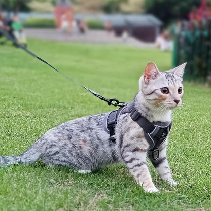 Cat Harness and Leash Set Escape Proof Tactical Large Kitten Harness Emotional Support Cat Vest, Grey, L