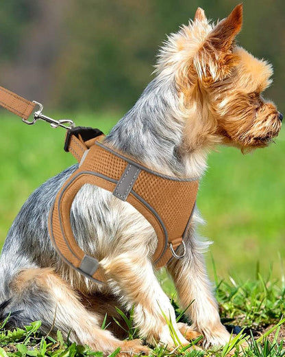 Joytale Small Dog Harness, Breathable Mesh Step-in Vest, Reflective Soft Padded Harnesses Small Sized Dog for Walking, Brown, S