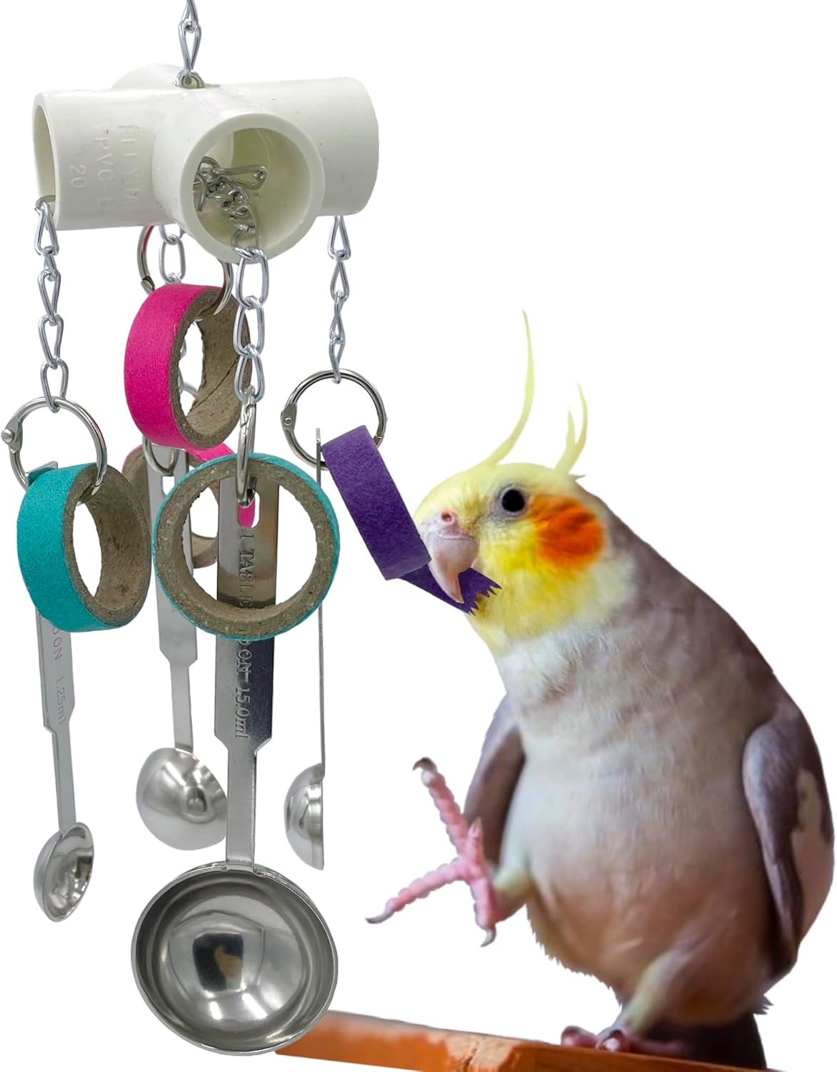 Durable Bird Parrots Scoops and Bagel Toys, Pullable Stainless Steel Spoon and Cardboard Ring Toys for Small and Medium Bird Parakeets, Cockatiels, Conures, Budgie, Lovebirds, Finches