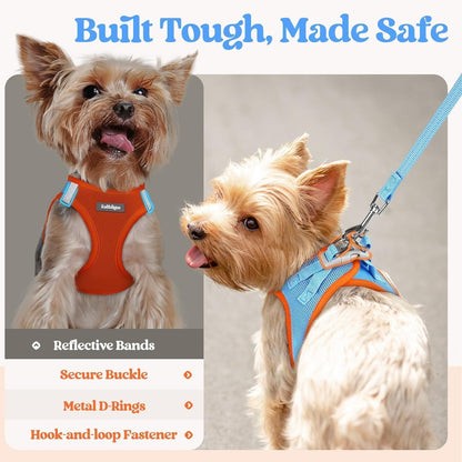 rabbitgoo Dog Harness Small Medium Sized and Leash Set, Step in Soft Light Puppy Vest, Breathable Mesh Pet Harness, Reflective for Safe Easy Walking, Blue & Orange L