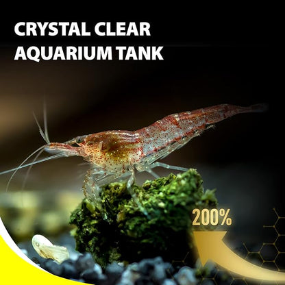 Purify Series for Algae Wafers Pleco Food, Spirulina Fish Food for Snails, Plecos, Algae Eaters and Bottom Feeders, Color Enhancing, All Natural Ingredients, 2.82oz (Pack of 1)