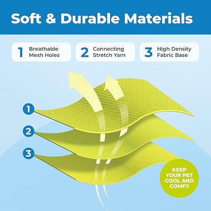 Voyager Escape Proof Cat Harness and Leash Set with Reflective Stitching, Neoprene Handle 5ft - Supports Small, Medium and Large Cats, Kittens for Walking by Best Pet Supplies - Lime, XXS