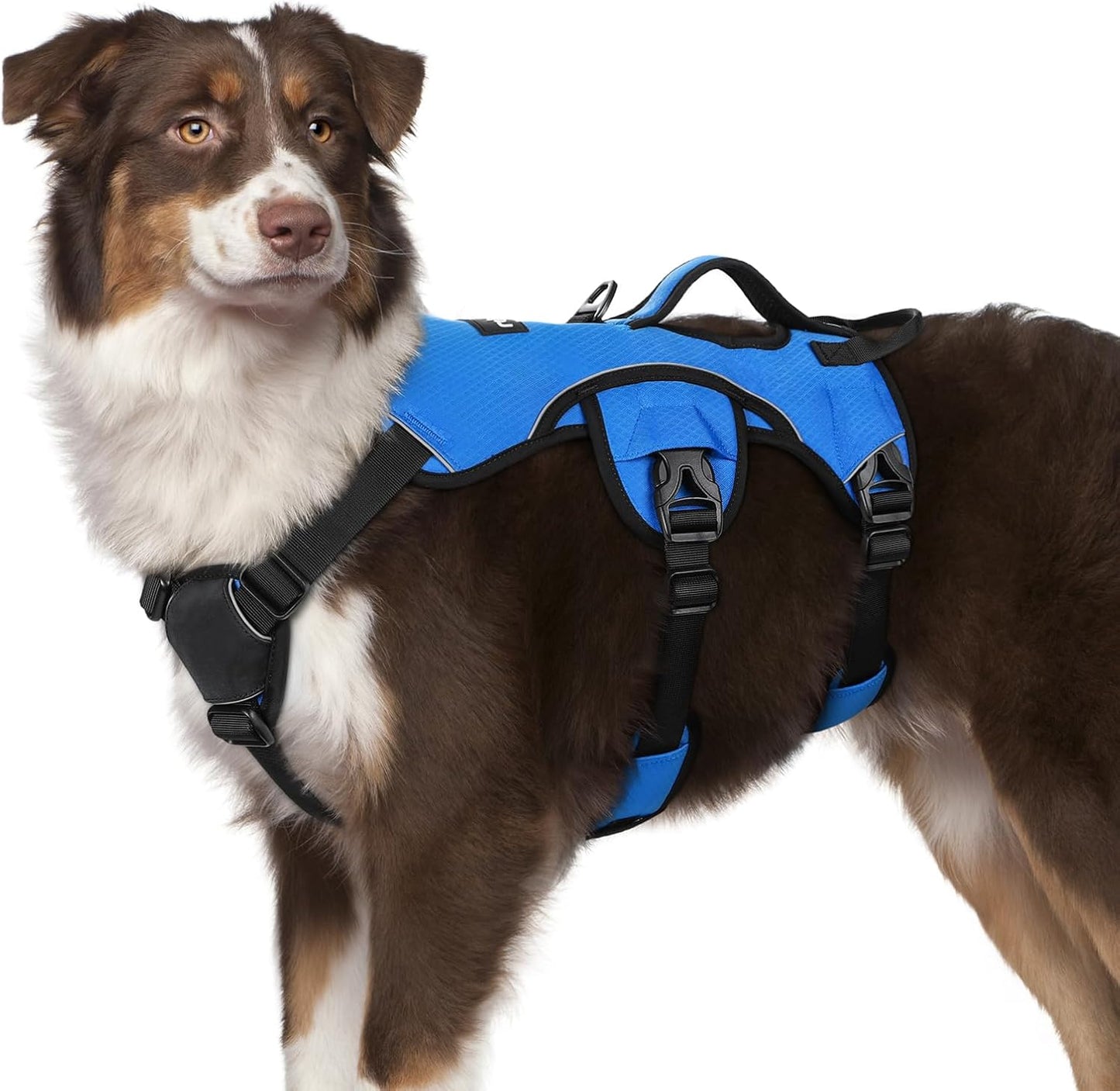 rabbitgoo Escape Proof Dog Harness, Soft Padded Full Body Pet Harness, Reflective Adjustable No Pull Vest with Lift Handle and Leash Clip for Large Dogs Walking Hiking Training, M, Blue