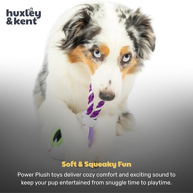 Huxley & Kent Halloween Funny Dog Toy w/Squeaker – Power Plush Squeaky Dog Toys for Small, Medium & Large Dogs – Soft Stuffed Animal for Indoor Play & Fetch - Eyeball Safety Pop, One Size