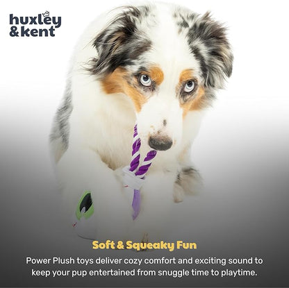 Huxley & Kent Halloween Funny Dog Toy w/Squeaker – Power Plush Squeaky Dog Toys for Small, Medium & Large Dogs – Soft Stuffed Animal for Indoor Play & Fetch - Eyeball Safety Pop, One Size