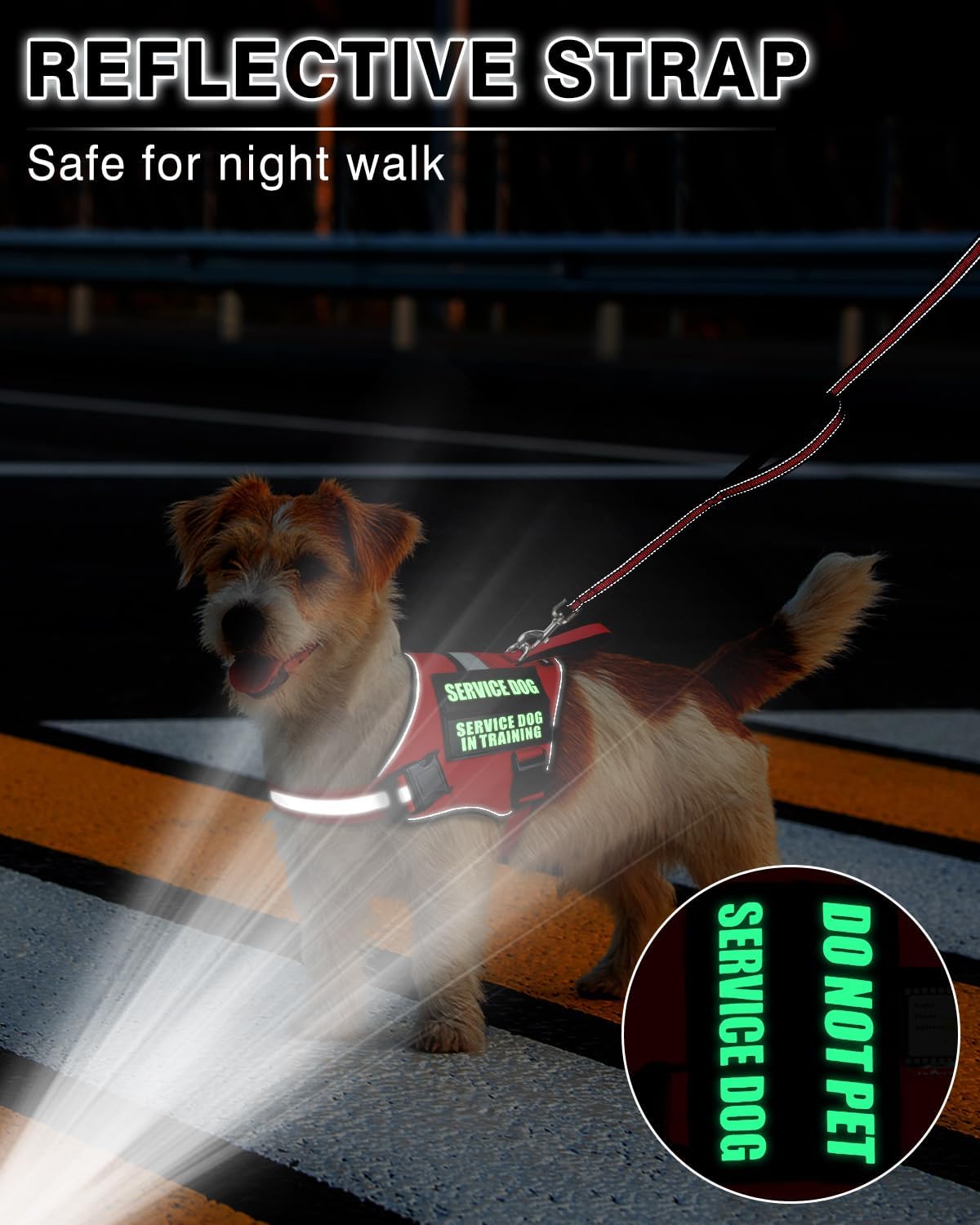 Service Dog Vest Harness and Leash Set+10 Patches for Puppy Small Dogs,Do Not Pet Emotional Support Dog Vest with 2 Soft Padded Handle for Everyday/Training (Red XS)